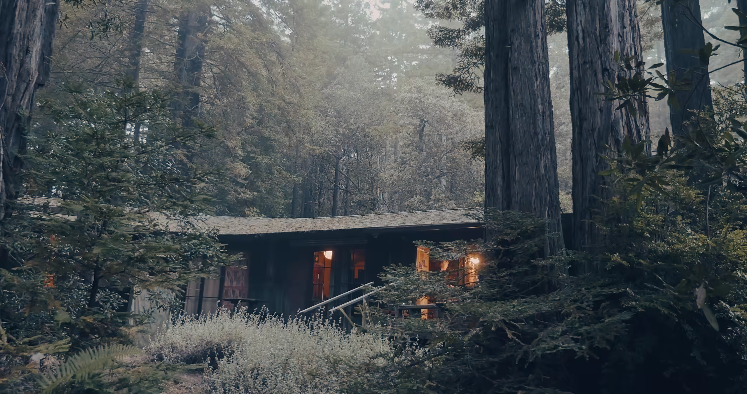 A house among tall trees